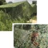 RED DE CAMUFLAJE SOMBRA 3X6M