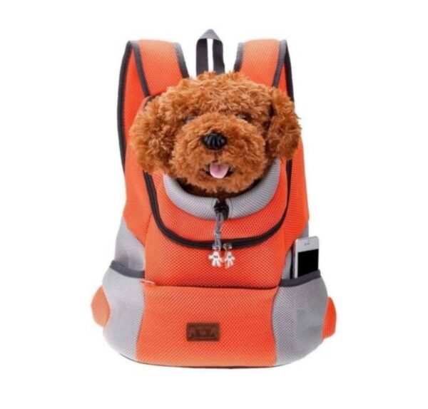 whatsapp-image-2024-11-04-at-17-32-54-standard.jpg BOLSO PARA MASCOTA