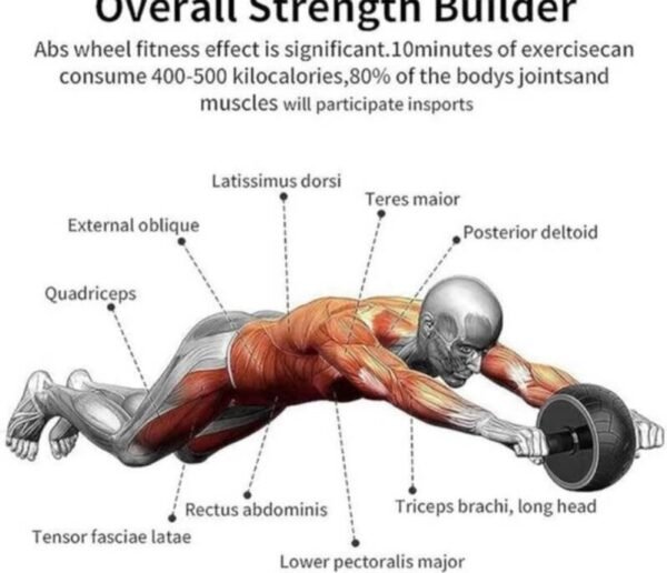 whatsapp-image-2024-11-04-at-17-40-01-standard.jpg RUEDA DE EJERCICIO ABDOMIAL